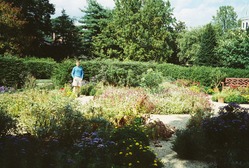 Scott poses in the weedy-looking butterfly garden